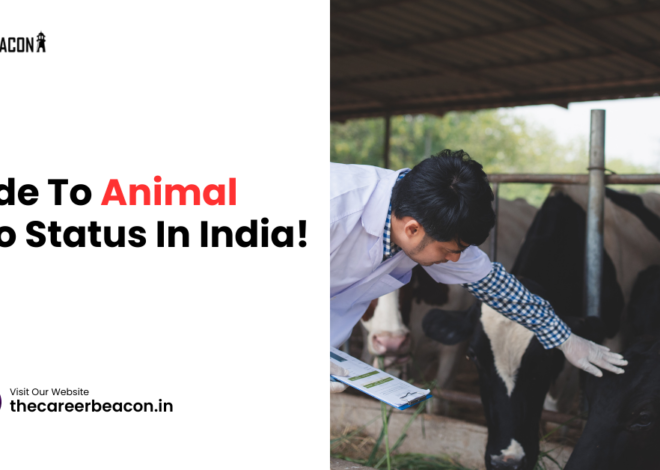 Guide to Animal Hero Status in India!